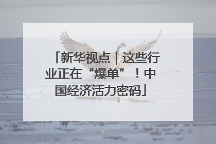 新华视点｜这些行业正在“爆单”！中国经济活力密码