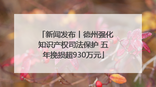 新闻发布丨德州强化知识产权司法保护 五年挽损超930万元