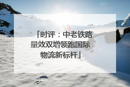 时评：中老铁路量效双增领跑国际物流新标杆