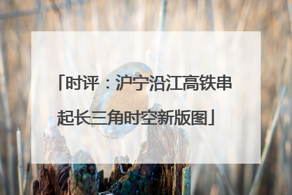 时评：沪宁沿江高铁串起长三角时空新版图