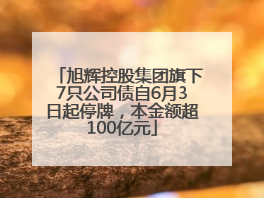 旭辉控股集团旗下7只公司债自6月3日起停牌，本金额超100亿元