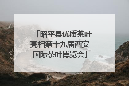 昭平县优质茶叶亮相第十九届西安国际茶叶博览会