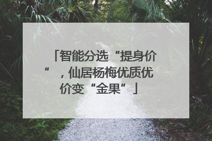 智能分选“提身价”，仙居杨梅优质优价变“金果”
