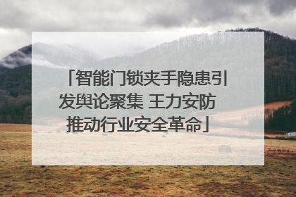 智能门锁夹手隐患引发舆论聚集 王力安防推动行业安全革命