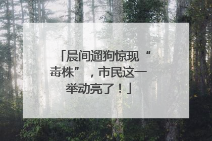 晨间遛狗惊现“毒株”，市民这一举动亮了！