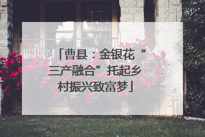 曹县：金银花“三产融合”托起乡村振兴致富梦