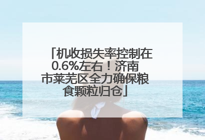 机收损失率控制在0.6%左右！济南市莱芜区全力确保粮食颗粒归仓