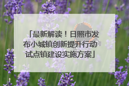最新解读！日照市发布小城镇创新提升行动试点镇建设实施方案