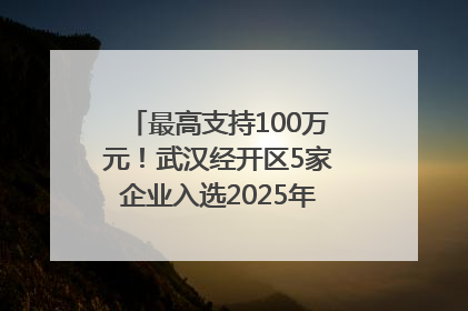 最高支持100万元！武汉经开区5家企业入选2025年度武汉市重点研发计划拟立项项目名单