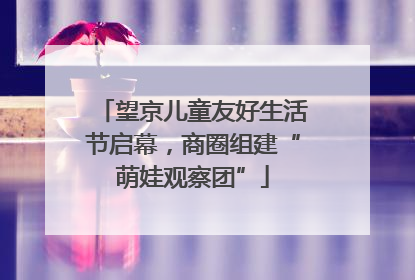 望京儿童友好生活节启幕，商圈组建“萌娃观察团”
