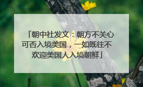 朝中社发文：朝方不关心可否入境美国，一如既往不欢迎美国人入境朝鲜