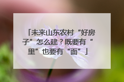 未来山东农村“好房子”怎么建？既要有“里”也要有“面”