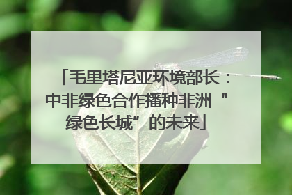 毛里塔尼亚环境部长：中非绿色合作播种非洲“绿色长城”的未来