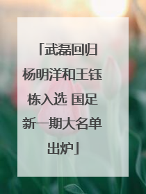 武磊回归 杨明洋和王钰栋入选 国足新一期大名单出炉