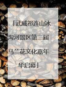 武威祁连山冰沟河景区第二届马兰花文化嘉年华启幕