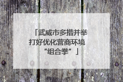 武威市多措并举打好优化营商环境“组合拳”
