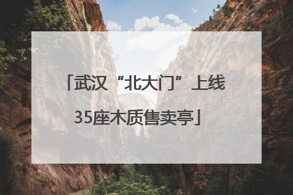 武汉“北大门”上线35座木质售卖亭