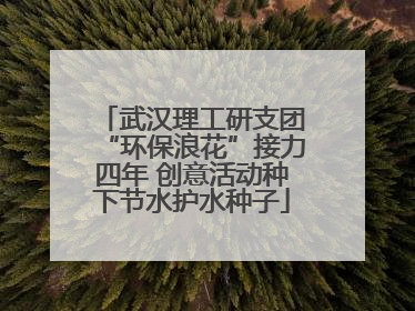 武汉理工研支团“环保浪花”接力四年 创意活动种下节水护水种子