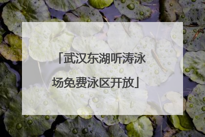 武汉东湖听涛泳场免费泳区开放