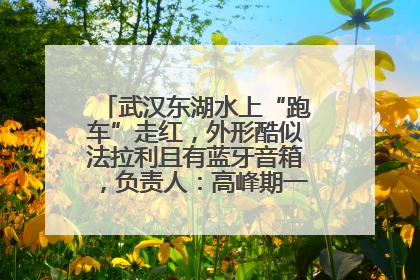 武汉东湖水上“跑车”走红，外形酷似法拉利且有蓝牙音箱，负责人：高峰期一两百人排队
