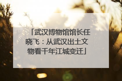 武汉博物馆馆长任晓飞：从武汉出土文物看千年江城变迁