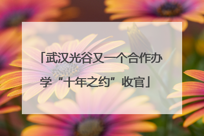 武汉光谷又一个合作办学“十年之约”收官