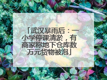 武汉暴雨后：一小学停课清淤，有商家称地下仓库数万元货物被泡