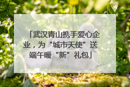 武汉青山携手爱心企业，为“城市天使”送端午暖“新”礼包