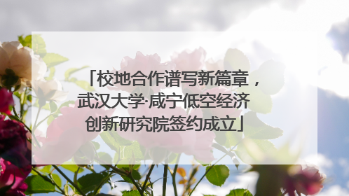 校地合作谱写新篇章，武汉大学·咸宁低空经济创新研究院签约成立