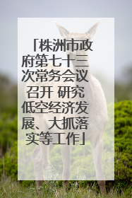 株洲市政府第七十三次常务会议召开 研究低空经济发展、大抓落实等工作