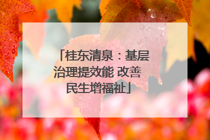 桂东清泉：基层治理提效能 改善民生增福祉