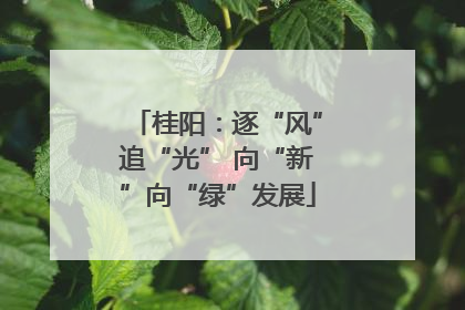 桂阳：逐“风”追“光” 向“新”向“绿”发展