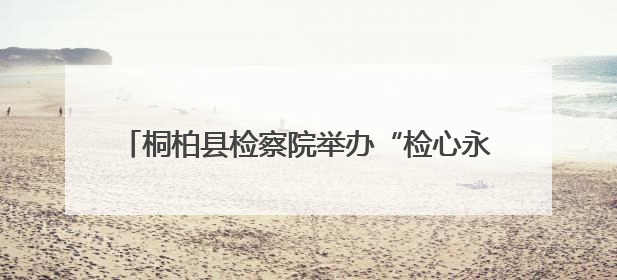 桐柏县检察院举办“检心永向党，青春铸忠诚”青年检察干警“实”迹展示活动