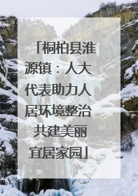 桐柏县淮源镇：人大代表助力人居环境整治 共建美丽宜居家园