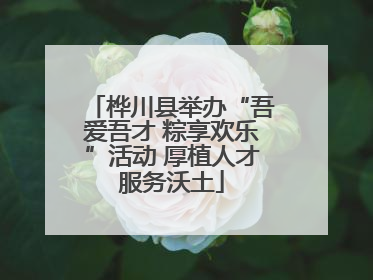 桦川县举办“吾爱吾才 粽享欢乐”活动 厚植人才服务沃土