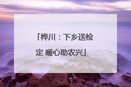 桦川：下乡送检定 暖心助农兴