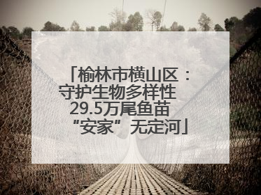 榆林市横山区：守护生物多样性 29.5万尾鱼苗“安家”无定河