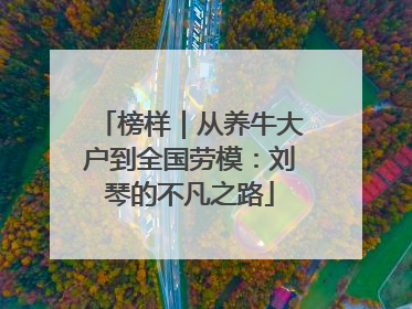 榜样｜从养牛大户到全国劳模：刘琴的不凡之路