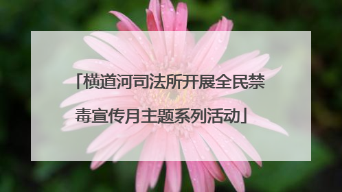 横道河司法所开展全民禁毒宣传月主题系列活动