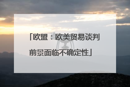 欧盟：欧美贸易谈判前景面临不确定性