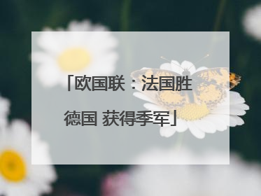 欧国联：法国胜德国 获得季军