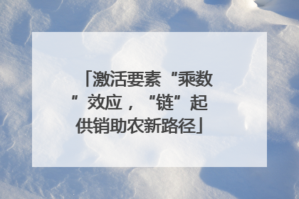 激活要素“乘数”效应，“链”起供销助农新路径
