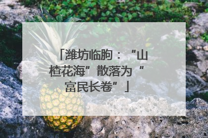 潍坊临朐：“山楂花海”散落为“富民长卷”