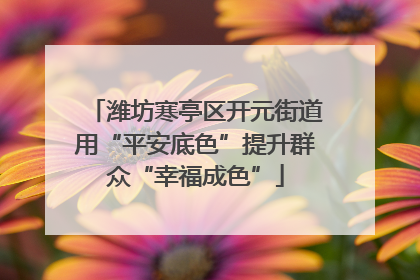 潍坊寒亭区开元街道用“平安底色”提升群众“幸福成色”