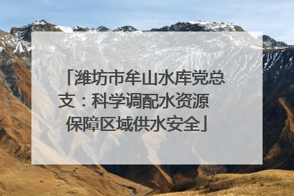潍坊市牟山水库党总支：科学调配水资源 保障区域供水安全
