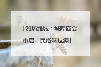 潍坊潍城：城隍庙会重启，民俗味拉满