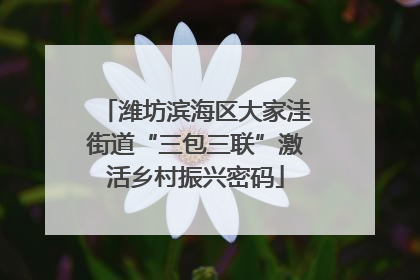 潍坊滨海区大家洼街道“三包三联”激活乡村振兴密码