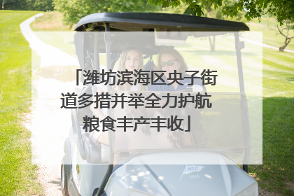 潍坊滨海区央子街道多措并举全力护航粮食丰产丰收