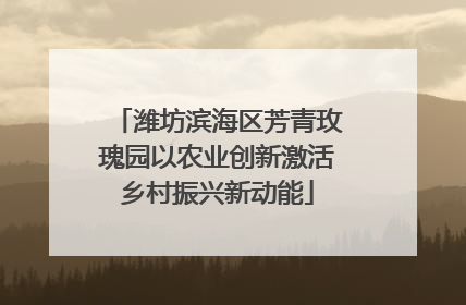 潍坊滨海区芳青玫瑰园以农业创新激活乡村振兴新动能