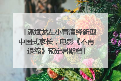 潘斌龙左小青演绎新型中国式家长，电影《不再退缩》预定暑期档